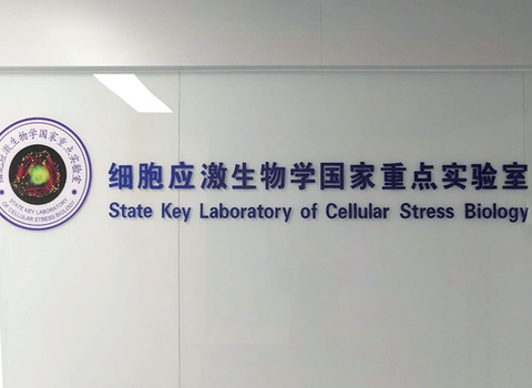 厦门大学实验室